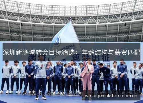 深圳新鹏城转会目标筛选：年龄结构与薪资匹配